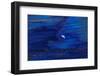 Oil Slick from Tanker Collision-null-Framed Photographic Print