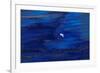 Oil Slick from Tanker Collision-null-Framed Photographic Print