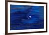 Oil Slick from Tanker Collision-null-Framed Photographic Print
