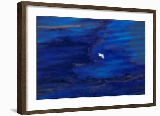 Oil Slick from Tanker Collision-null-Framed Photographic Print