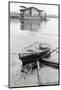 Oil-Slicked Boat Washed on Oiled Beach-null-Mounted Photographic Print