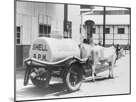 Oil Tanks Being Drawn by Buffalos-null-Mounted Photographic Print