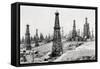 Oil Well Field-null-Framed Stretched Canvas