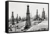 Oil Well Field-null-Framed Stretched Canvas