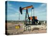 Oil Well Pump, Near Odessa, Texas, USA-Walter Rawlings-Stretched Canvas