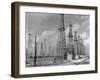 Oil Wells-null-Framed Photographic Print