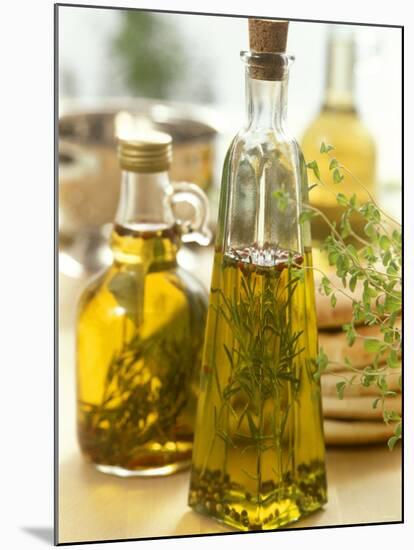 Oil with Herbs and Spices in Two Bottles-Alena Hrbkova-Mounted Photographic Print