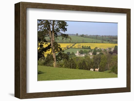 Oilseed Rape Fields and Sheep Above Cotswold Village, Guiting Power, Cotswolds-Stuart Black-Framed Photographic Print
