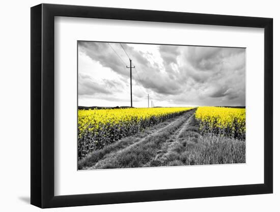 Oilseed Rape Fields-Rainer Maria-Framed Photographic Print