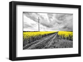 Oilseed Rape Fields-Rainer Maria-Framed Photographic Print