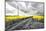 Oilseed Rape Fields-Rainer Maria-Mounted Photographic Print