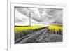 Oilseed Rape Fields-Rainer Maria-Framed Photographic Print