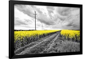 Oilseed Rape Fields-Rainer Maria-Framed Photographic Print