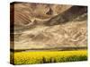 Oilseed Rape Plants Blooming at Foot of Mountain-Yang Liu-Stretched Canvas