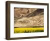 Oilseed Rape Plants Blooming at Foot of Mountain-Yang Liu-Framed Photographic Print