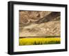 Oilseed Rape Plants Blooming at Foot of Mountain-Yang Liu-Framed Photographic Print