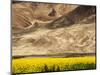 Oilseed Rape Plants Blooming at Foot of Mountain-Yang Liu-Mounted Photographic Print