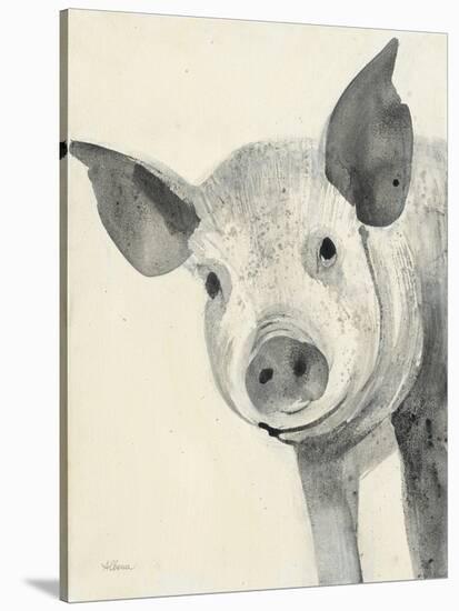 Oink-Albena Hristova-Stretched Canvas