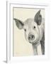 Oink-Albena Hristova-Framed Art Print