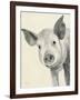 Oink-Albena Hristova-Framed Art Print