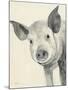 Oink-Albena Hristova-Mounted Art Print