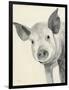 Oink-Albena Hristova-Framed Art Print