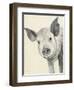 Oink-Albena Hristova-Framed Art Print