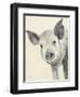 Oink-Albena Hristova-Framed Art Print