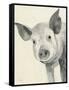 Oink-Albena Hristova-Framed Stretched Canvas