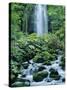 Oirase Valley Waterfall, Fed by Lake Towada-Ko, Aomori, Northern Japan-Christian Kober-Stretched Canvas