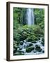 Oirase Valley Waterfall, Fed by Lake Towada-Ko, Aomori, Northern Japan-Christian Kober-Framed Photographic Print