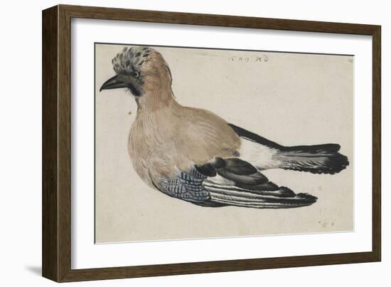 Oiseau dit casse-noix-Albrecht Dürer-Framed Giclee Print