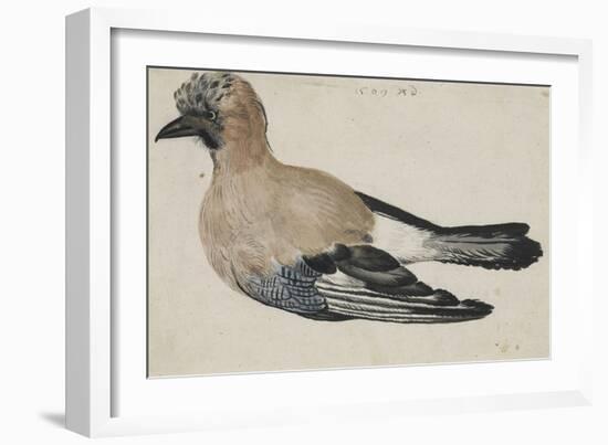 Oiseau dit casse-noix-Albrecht Dürer-Framed Giclee Print