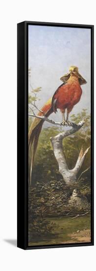 Oiseau exotique rouge-Adolphe Yvon-Framed Stretched Canvas