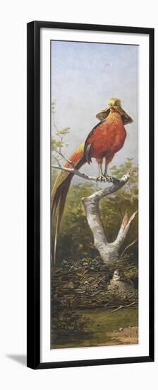 Oiseau exotique rouge-Adolphe Yvon-Framed Premium Giclee Print
