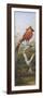 Oiseau exotique rouge-Adolphe Yvon-Framed Giclee Print