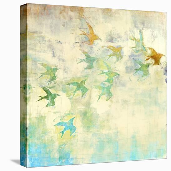 Oiseaux 2-Maeve Harris-Stretched Canvas