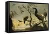 Oiseaux sur des branches-Frans Snyders-Framed Stretched Canvas