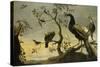 Oiseaux sur des branches-Frans Snyders-Stretched Canvas