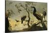 Oiseaux sur des branches-Frans Snyders-Stretched Canvas