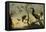Oiseaux sur des branches-Frans Snyders-Framed Stretched Canvas