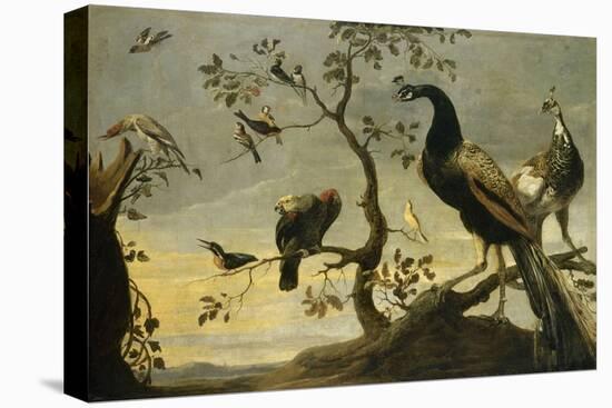 Oiseaux sur des branches-Frans Snyders-Stretched Canvas