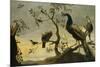 Oiseaux sur des branches-Frans Snyders-Mounted Giclee Print