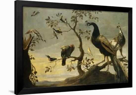 Oiseaux sur des branches-Frans Snyders-Framed Giclee Print