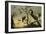 Oiseaux sur des branches-Frans Snyders-Framed Premium Giclee Print