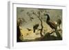 Oiseaux sur des branches-Frans Snyders-Framed Premium Giclee Print