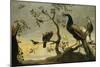 Oiseaux sur des branches-Frans Snyders-Mounted Premium Giclee Print