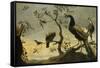 Oiseaux sur des branches-Frans Snyders-Framed Stretched Canvas