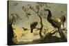 Oiseaux sur des branches-Frans Snyders-Stretched Canvas