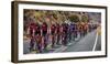 OJAI CALIFORNIA USA Amgen Stage 2 Mens Bicycle Tour of California, VENTURA TO GIBRALTAR ROAD AT...-null-Framed Photographic Print